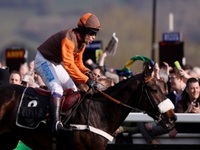 Long Run Cheltenham Gold Cup.jpg